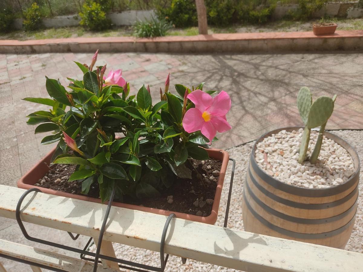 B&B Lara Santola Corato Exterior photo